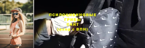 СК Михайлов