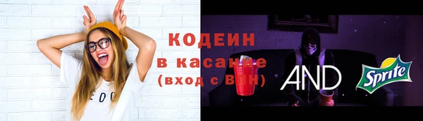 СК Михайлов