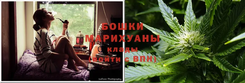 Бошки марихуана SATIVA & INDICA  цена   Отрадная 